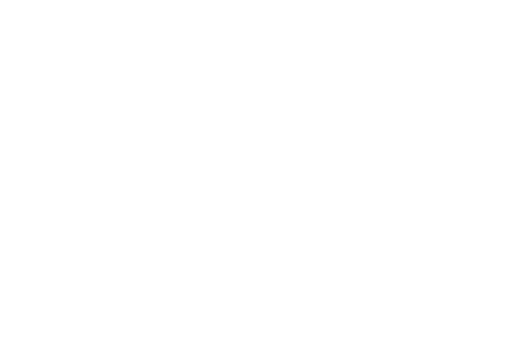 Lingo University