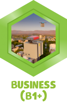 Business (B1+)