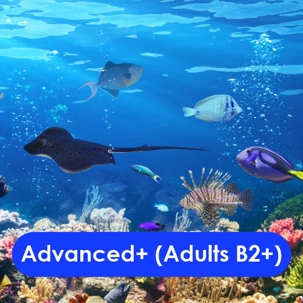 Advanced Plus (Adults B2+)