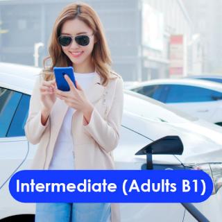 Intermediate (Adults B1)