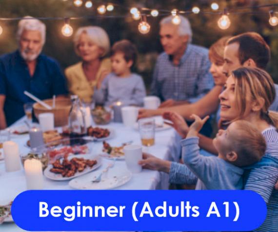 Beginner (Adults A1)