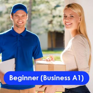 Beginner (Business A1)