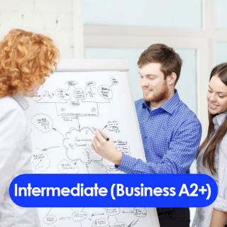 Intermediate (Business A2+)