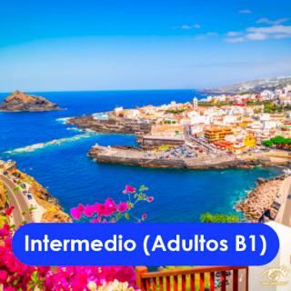 Intermedio (Adultos B1)
